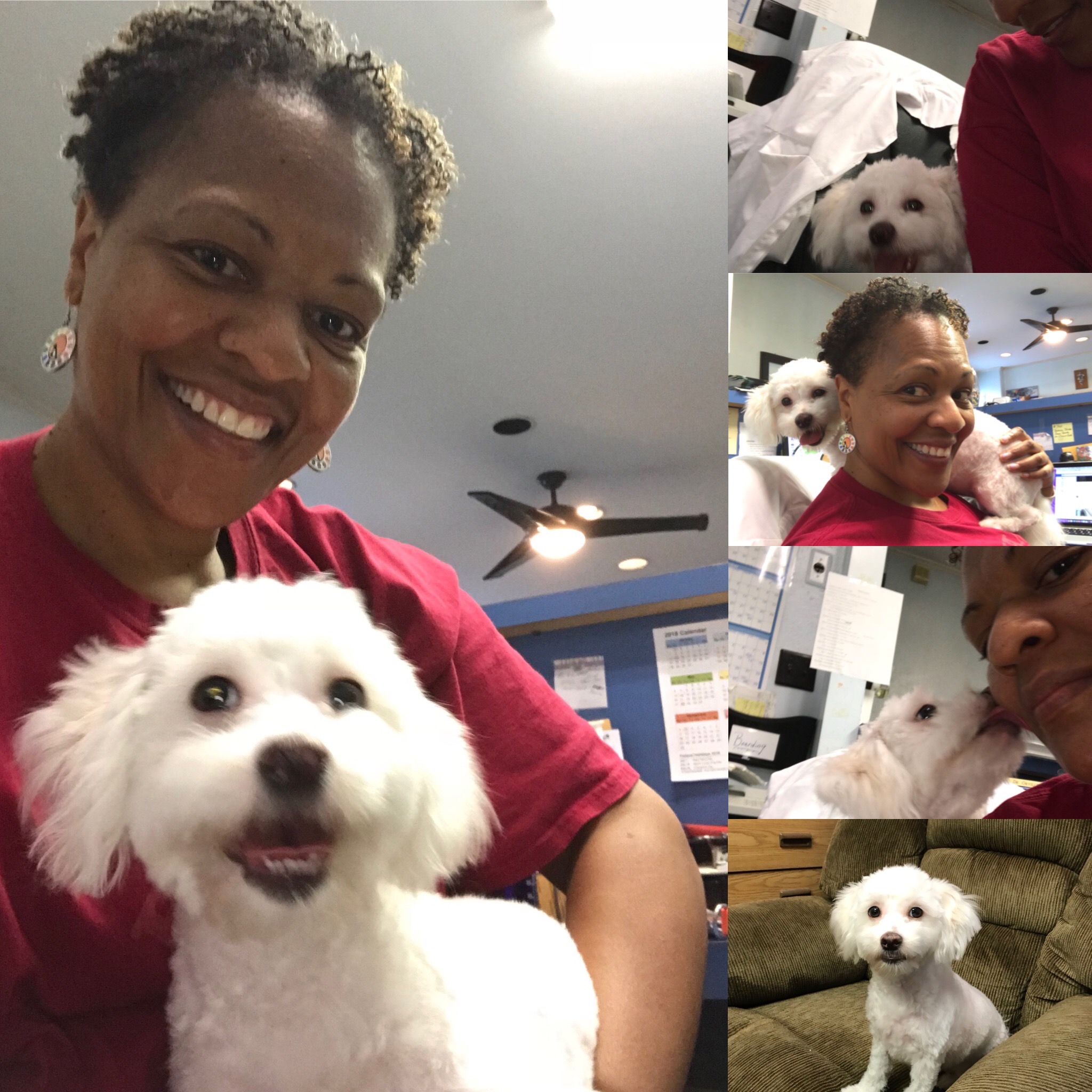 Greene Street Animal Care Ask Dr. Walls