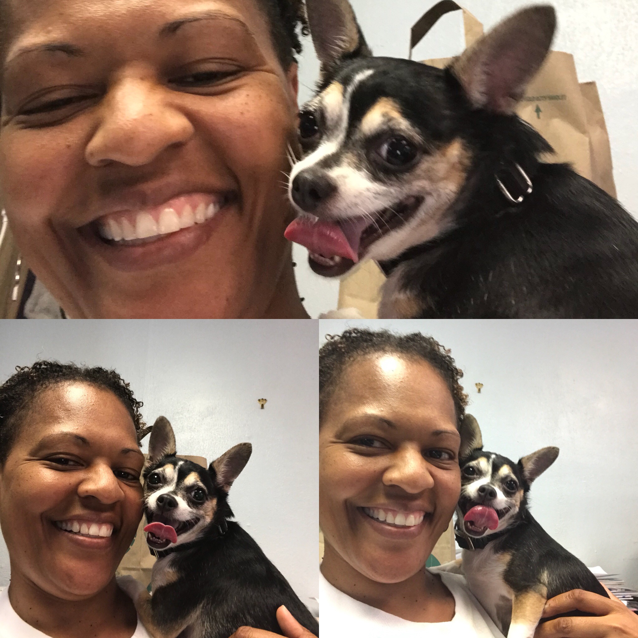 Greene Street Animal Care Ask Dr. Walls