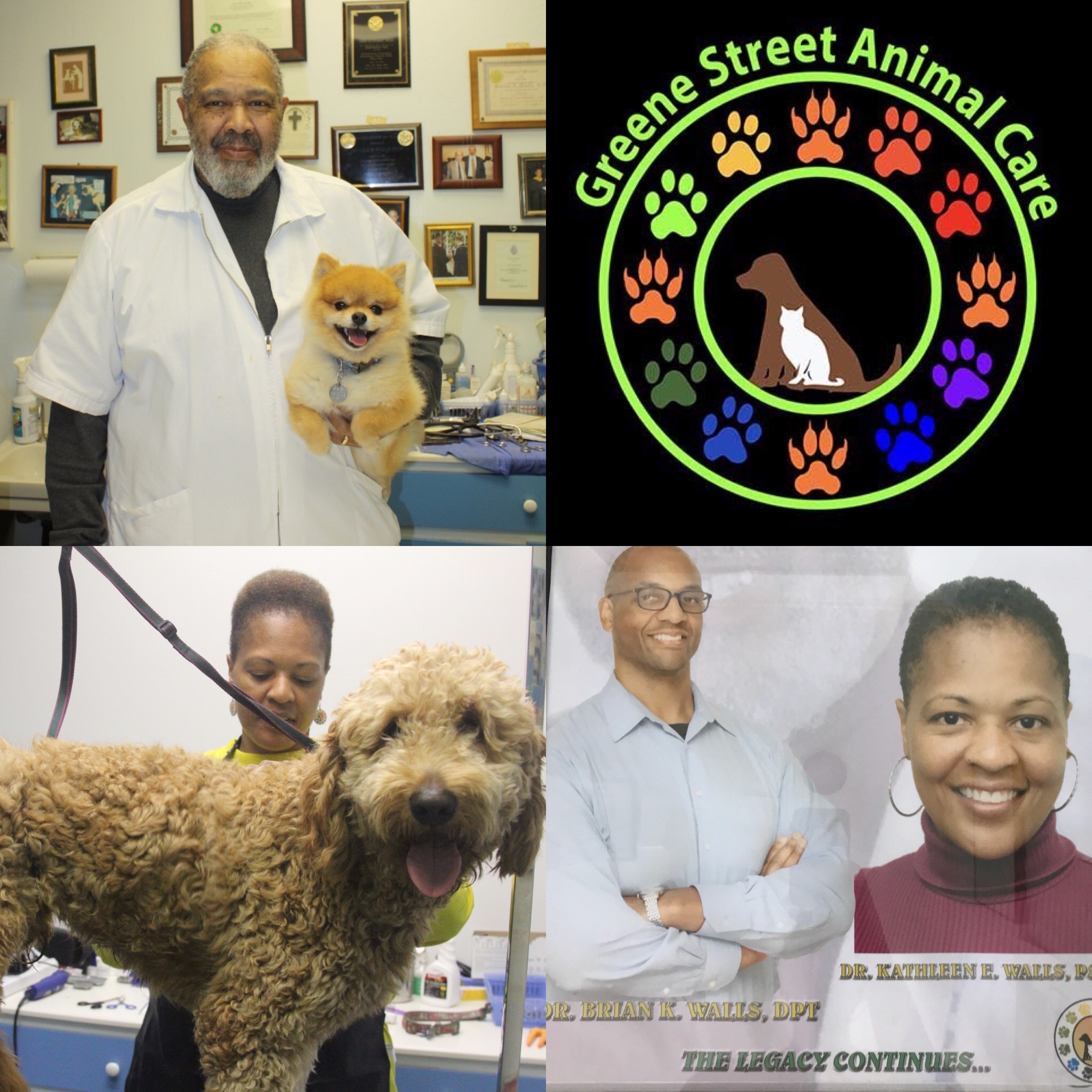 Greene Street Animal Care Ask Dr. Walls