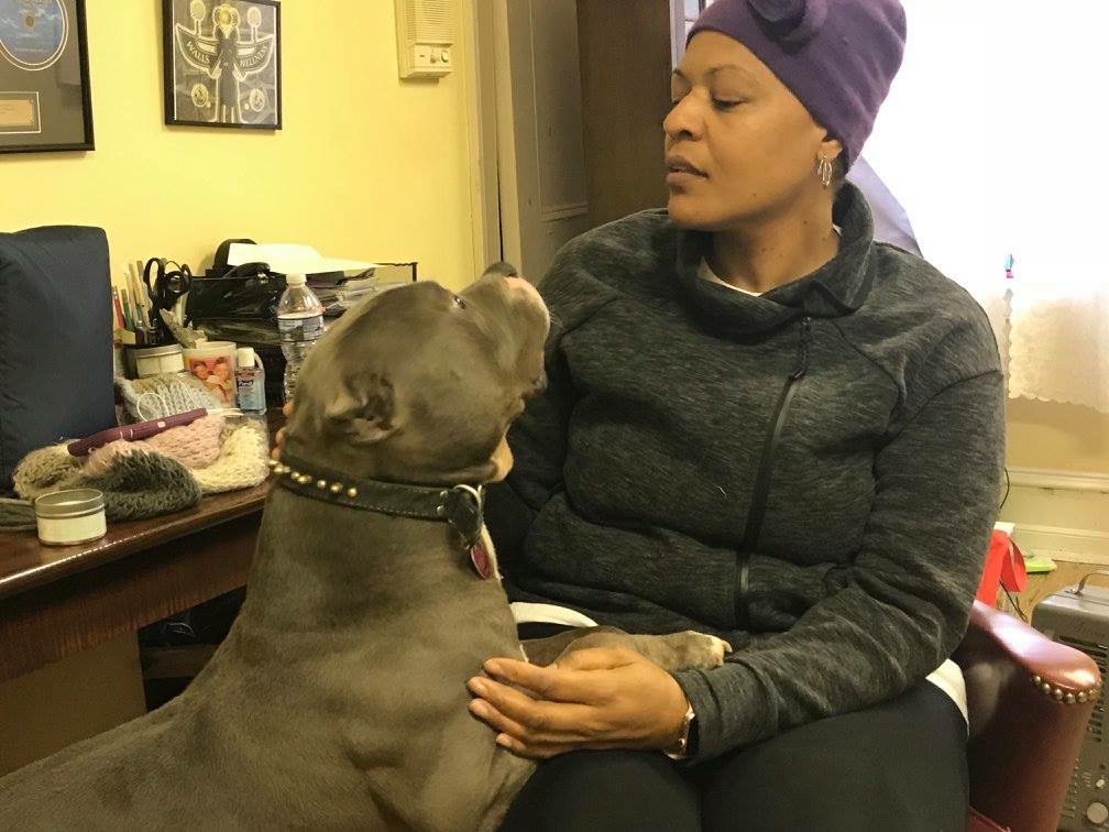 Greene Street Animal Care Ask Dr. Walls