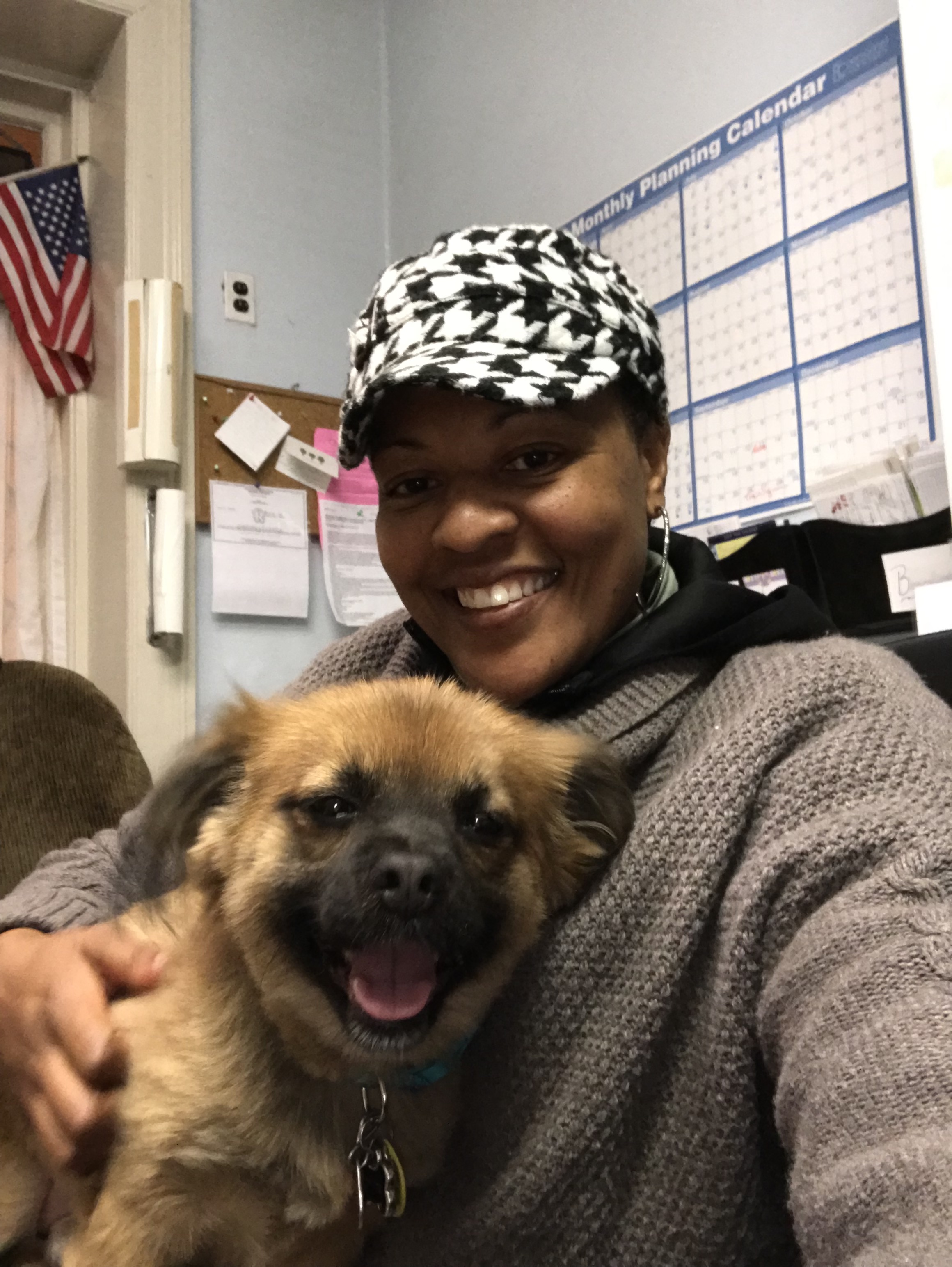 Greene Street Animal Care Ask Dr. Walls