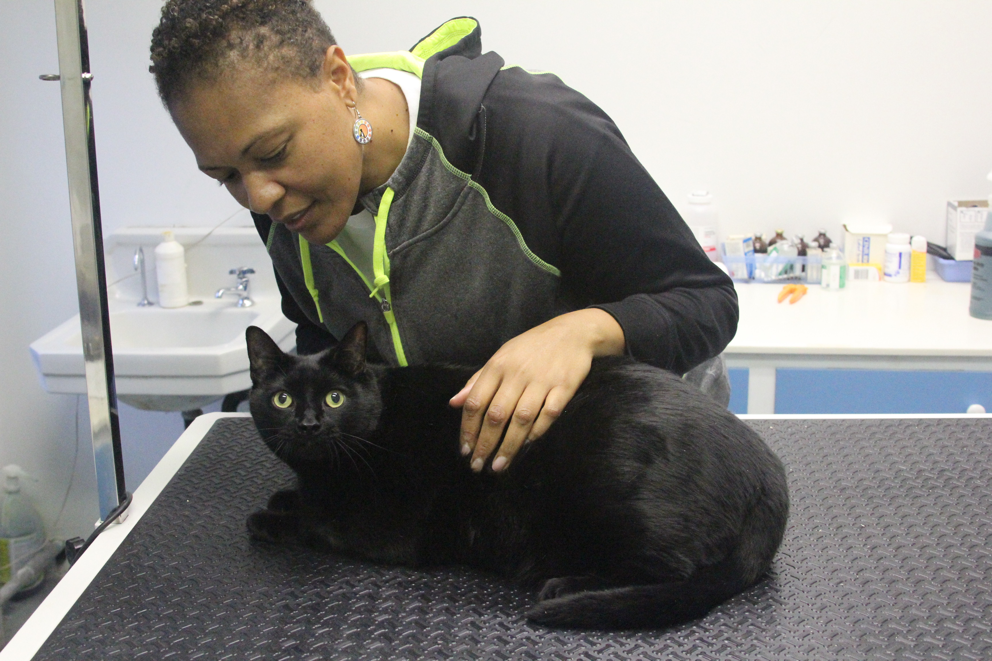 Greene Street Animal Care Ask Dr. Walls