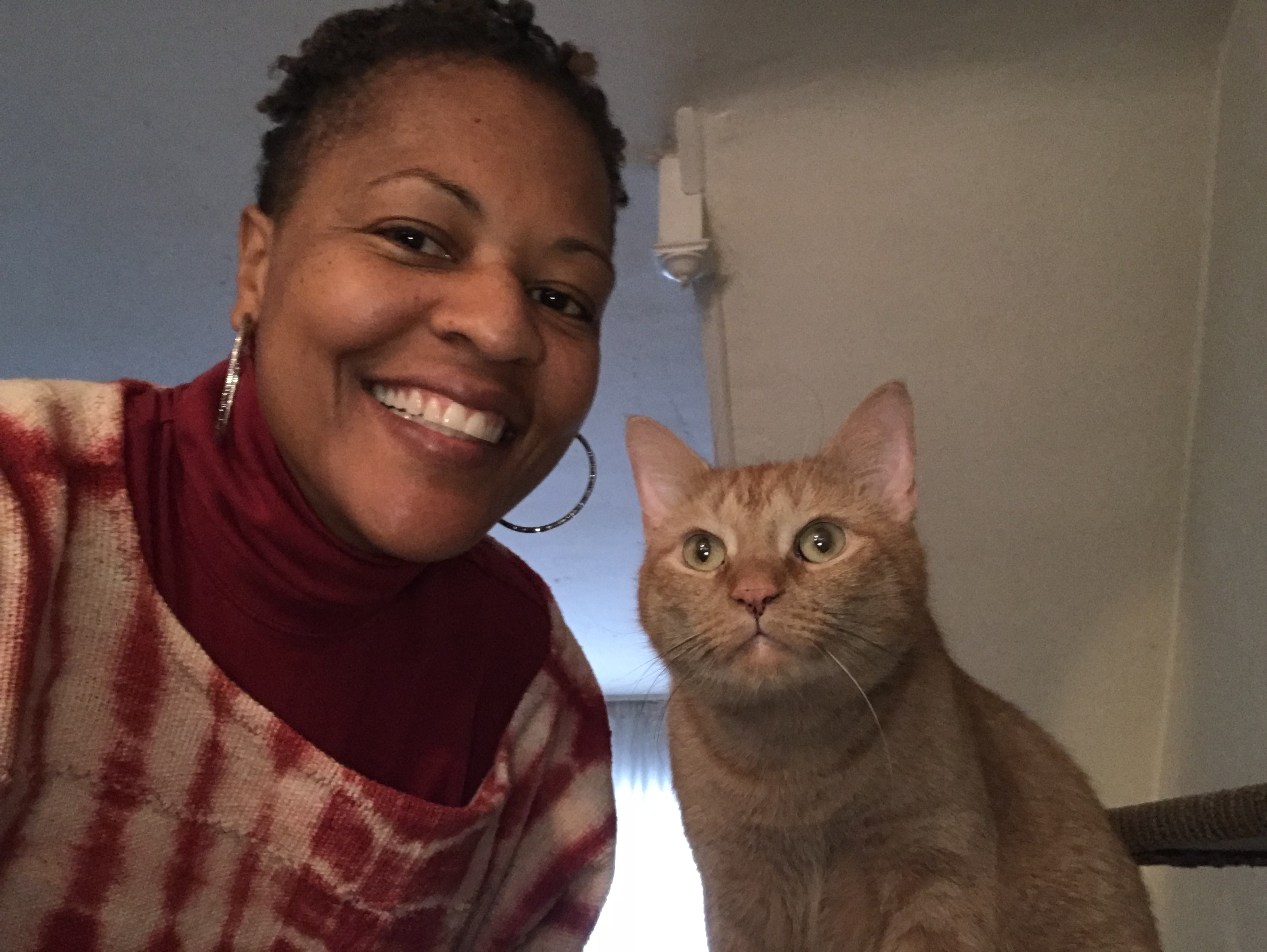 Greene Street Animal Care Ask Dr. Walls