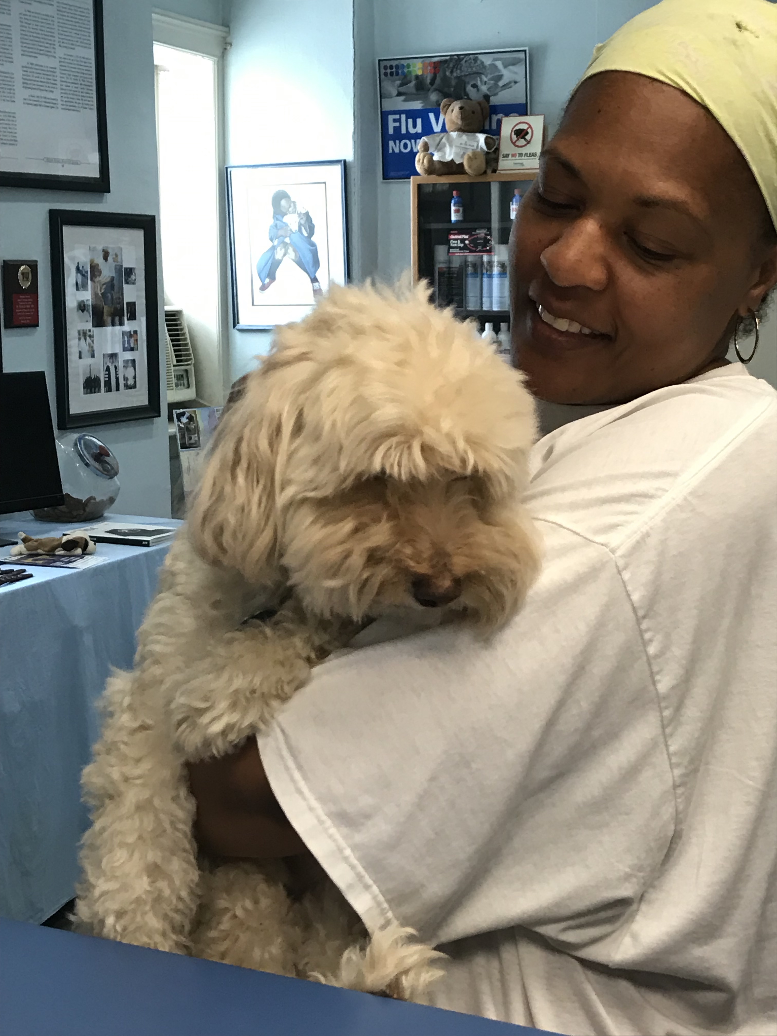 Greene Street Animal Care Ask Dr. Walls