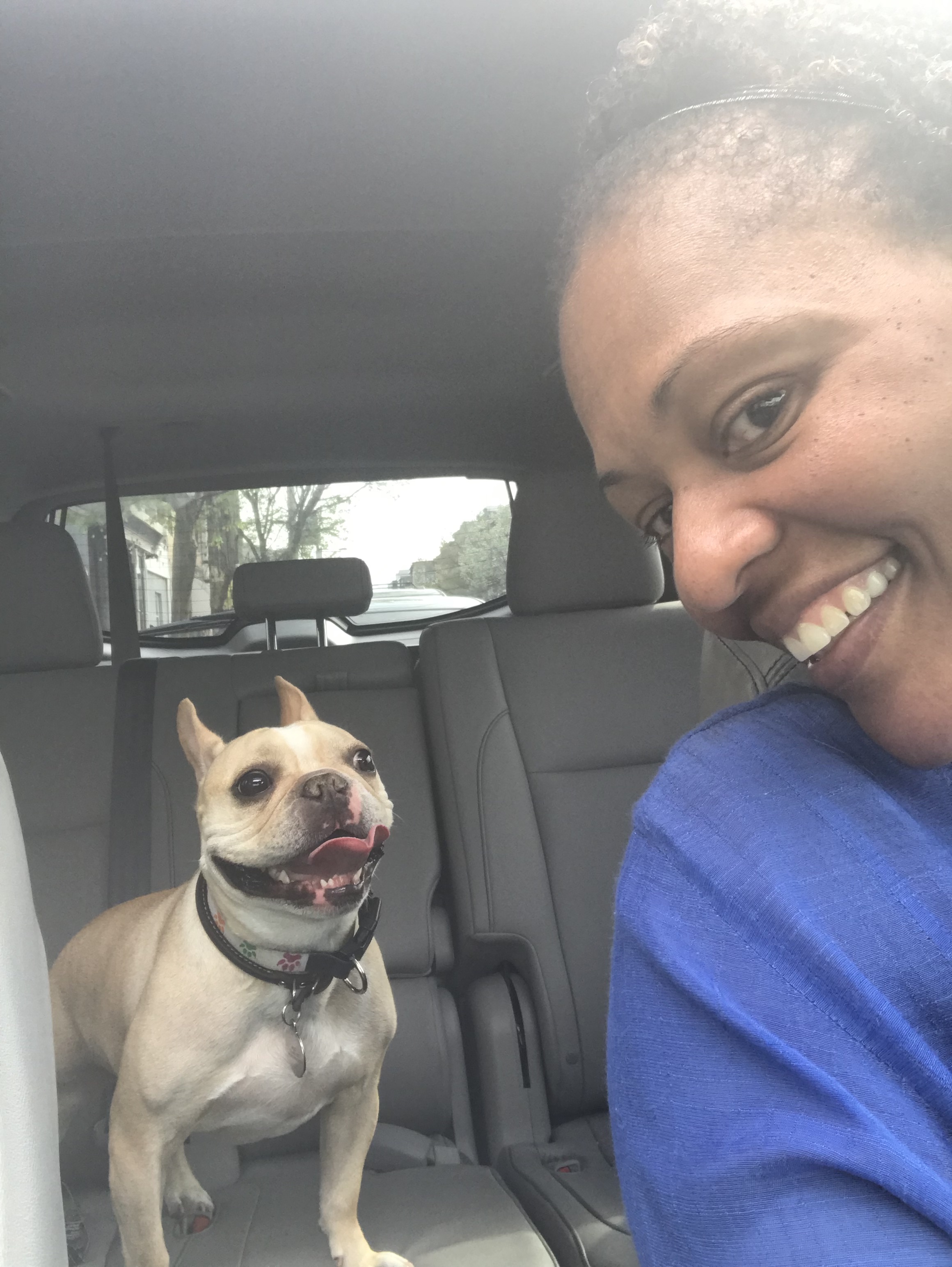 Greene Street Animal Care Ask Dr. Walls