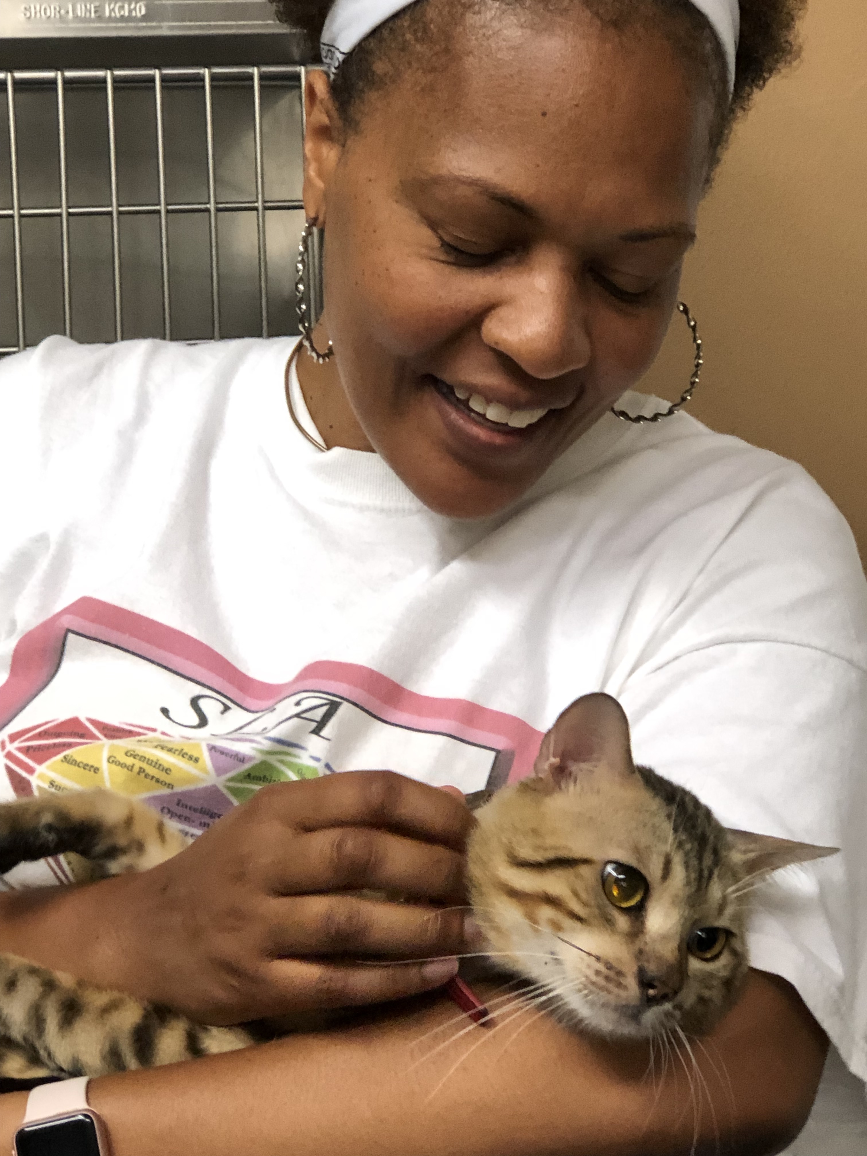 Greene Street Animal Care Ask Dr. Walls